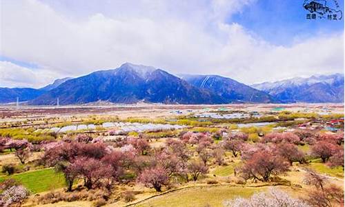 林芝旅游攻略必去景点_林芝旅游攻略必去景