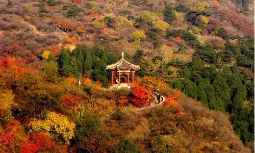 北京香山公园什么时候去最好_北京香山公园什么时候去最好玩