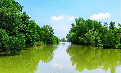 南沙湿地公园自驾游_南沙湿地公园自驾游路线