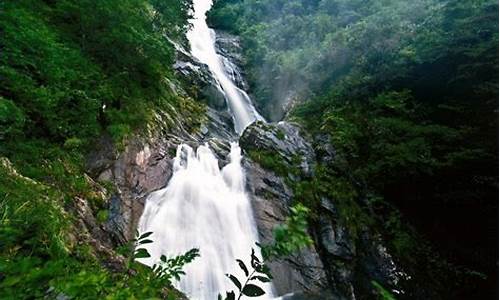 天目山旅游攻略一日游_天目山旅游攻略一日