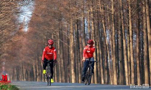 上海骑行路线 少红绿灯_上海红绿灯自行车