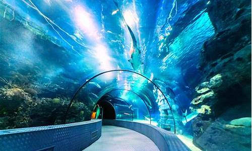 长风公园海洋世界 水族馆_长风公园海洋世界 水族馆门票