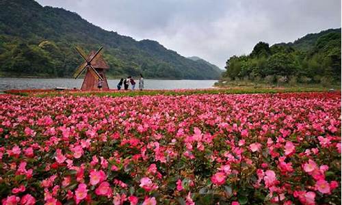 石门森林公园天池花海