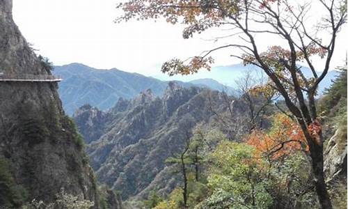 神农架旅游景点攻略一日游_神农架旅游景点