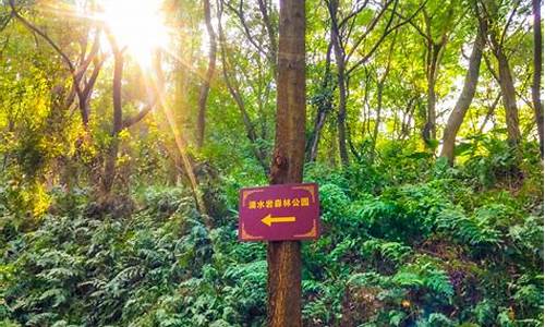 滴水岩森林公园爬山路线_滴水岩森林公园最