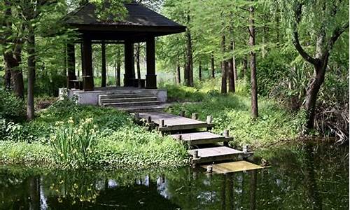 郊野公园有哪些景点_昆明郊野公园有哪些景