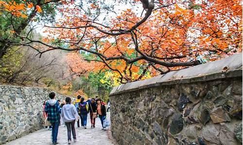 北京香山公园周边的旅馆_北京香山公园周边的旅馆有哪些