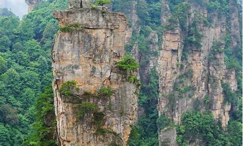 张家界旅游攻略带孩子四天三夜的地方_张家界带娃旅游攻略