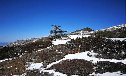 轿子雪山_轿子雪山海拔多少米