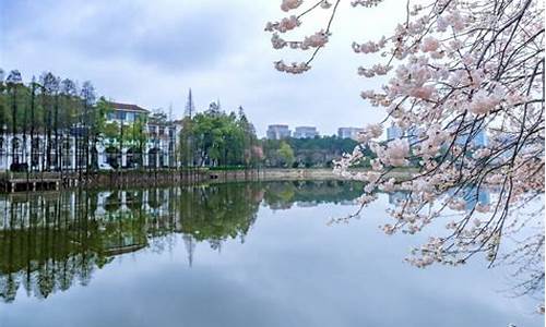 长沙植物园现在有什么花_长沙植物园