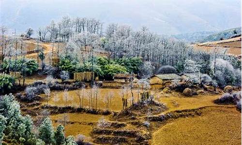 凉山旅游_凉山旅游局