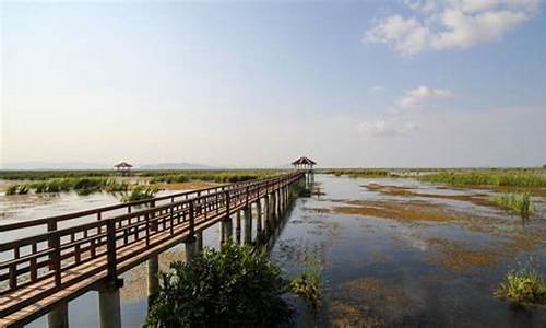 崇明一日游怎么玩一日游_崇明一日游自驾游攻略路线