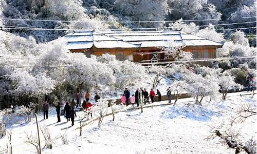 重庆适合冬天游的景点_冬季重庆旅游攻略