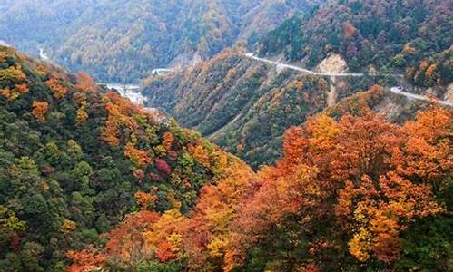 四川光雾山游记_四川光雾山旅游攻略