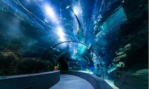 长风公园海洋世界 水族馆_长风公园海洋世界 水族馆门票