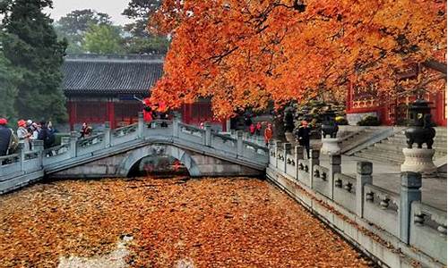 秋季旅游攻略美食_秋季旅游攻略美食图片