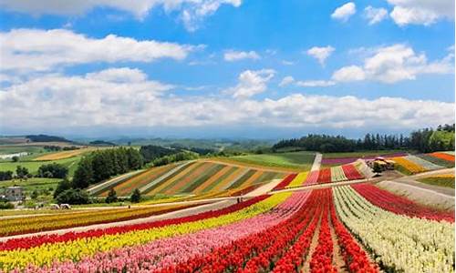 5月北海道旅游攻略_5月北海道旅游攻略图