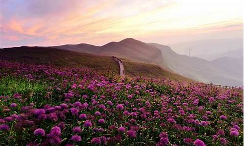 赫章韭菜坪旅游攻略及线路_赫章韭菜坪景点介绍